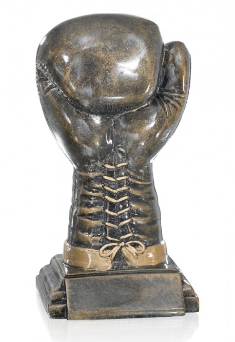 Trophée Boxe 52536