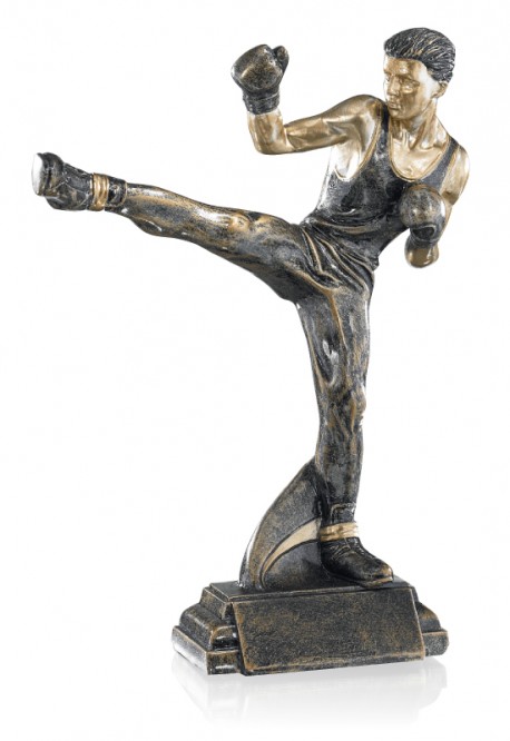 Trophée Boxe 52558