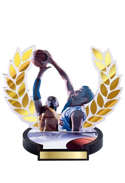 Trophée Bois Basket 56502