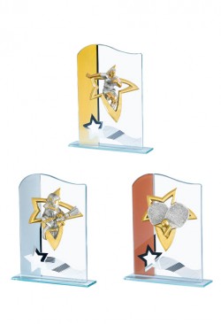 Trophée Verre Personnalisé 169-01-CLI