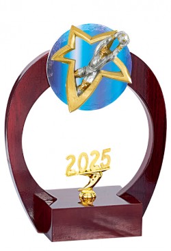 Trophée Verre Personnalisé 169-21-CLI
