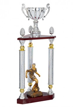 Trophée Acryglass Personnalisé 179-11-CLI