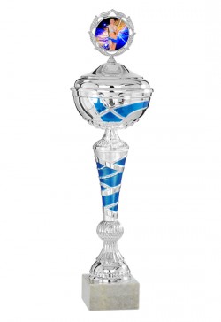 Trophée Verre Personnalisé 168-11-CLI