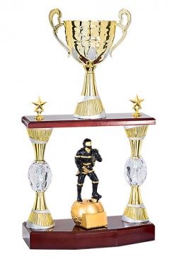 Trophée Personnalisé Figurine 147-51-RM