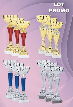 Lot de 12 Coupes : 2026-1