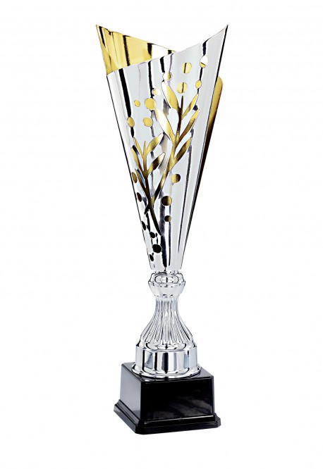 Coupe Laser Métal : 3751