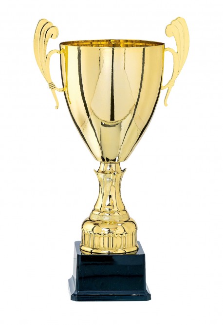 Coupe Prestige Métal : 5811