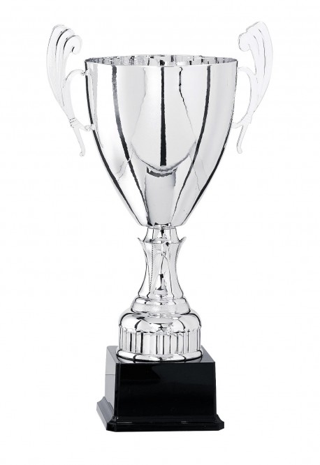 Coupe Prestige Métal : 5821