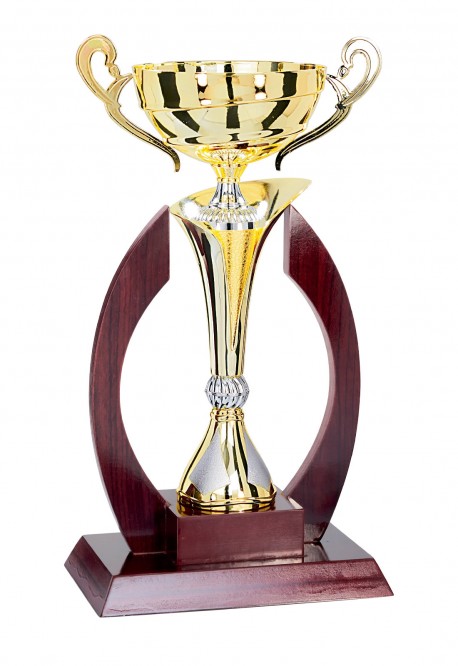 Coupe Prestige Bois et Métal : 5931