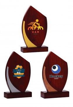 Trophée Bois Personnalisé 151-11-SU