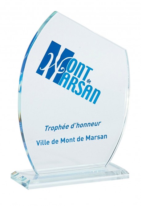 Trophée Verre Personnalisé 156-11-SU