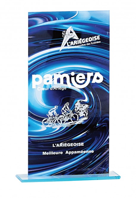 Trophée Verre Personnalisé 160-31-CLI