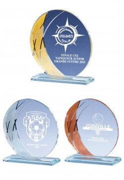 Trophée Verre Personnalisé 161-11-CLI