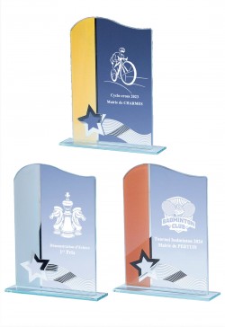 Trophée Verre Personnalisé 161-51-CLI