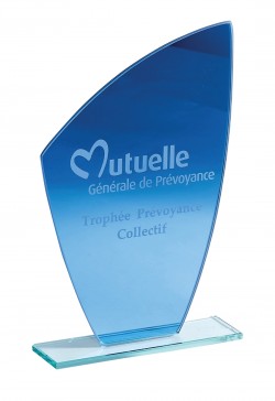 Trophée Verre Personnalisé 163-21-CLI