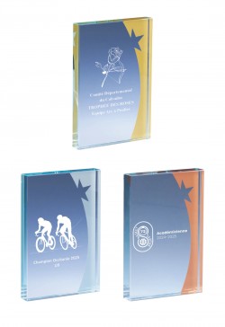Trophée Verre Personnalisé 168-31-CLI