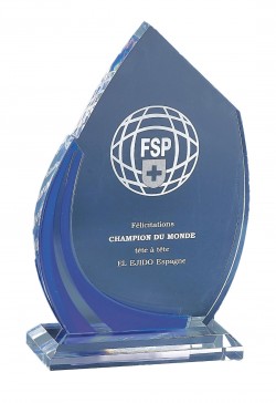 Trophée Plexi Personnalisé 179-41-CLI