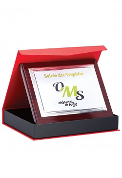 Plaque de distinction 189-81-SU