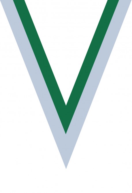 Ruban Médaille  Blanc/Vert  : 6039