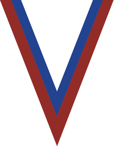 Ruban Médaille  Rouge/Bleu  : 6044