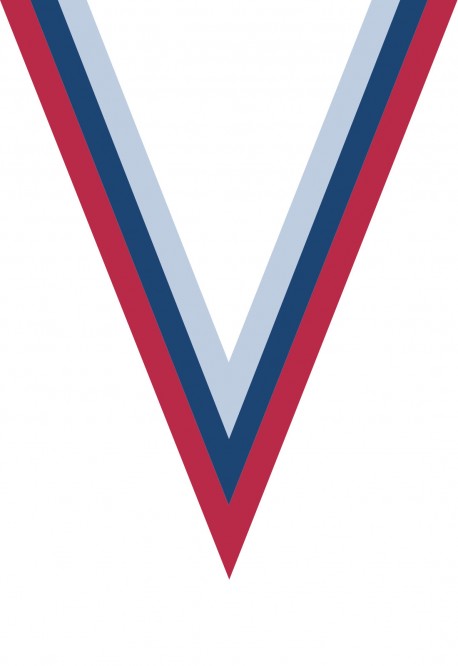 Ruban Médaille  Rouge/Bleu/Blanc : 6049