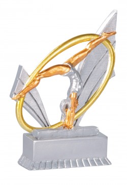 Trophée Gymnastique 31411