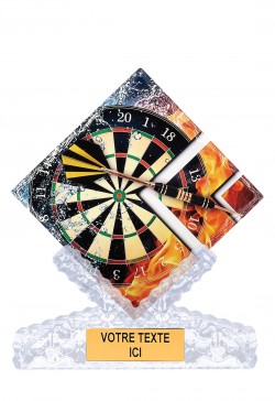 Trophée Fléchettes & Dart 46109