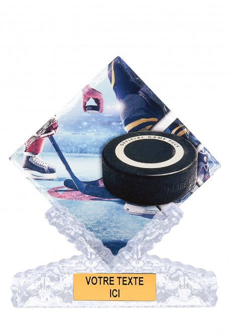 Trophée Hockey sur glace 46113
