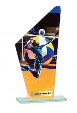 Trophée Volley-ball 66119