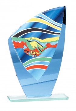 Trophée Verre Amitié 66221