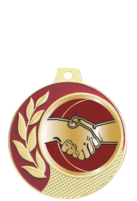 Médaille Ø 70 mm Amitié  - CZ01