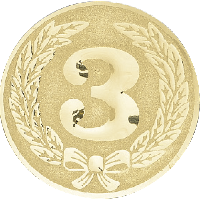 Trophée Personnalisé Médaillon 133-48-C