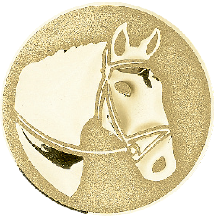 Trophée Amitié Personnalisé 52534-C