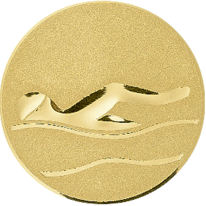 Trophée Personnalisé Médaillon 138-15-C