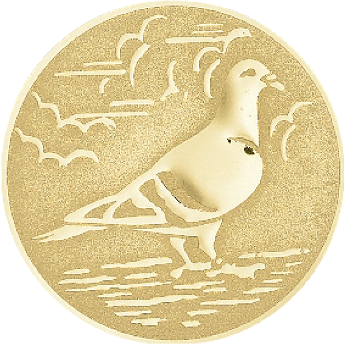 Trophée Personnalisé 31432-C